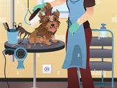 terrific profitable pet grooming