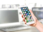 established cellphone wholesaler business