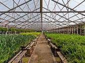 4 5-acres with a