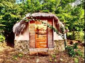 eco-property with ocean view
