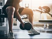 oem of free weights