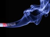 profitable smoke hookah shop