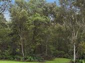 scenic backings rentals production