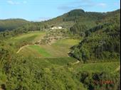 ancient estate with 116