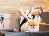 high-traffic grooming salon clean