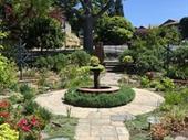 landscape garden maintenance service