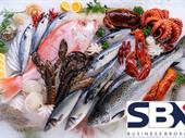 seafood fish chips retail