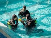 niche pool repair business