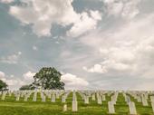 established cemetery illinois