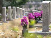established cemetery monument sales