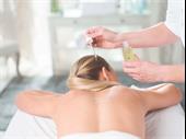 established elements massage franchise