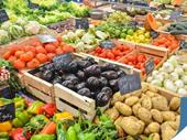 fruit grocery business high-exposure