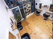 organic sustainable hair salon