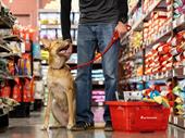 fresh pet food retail
