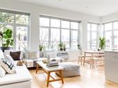 eco-friendly mold remediation for