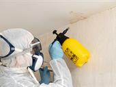 rapidly scaling restoration company