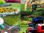 premier swfl landscape lawn