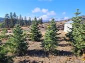 development property kelowna