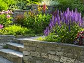 profitable landscaping design snow