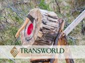 modern axe-throwing venue with