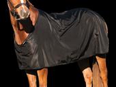 horse pony rugs bibs
