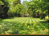 lawn maintenance only lawn