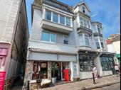 rare freehold mixed-use property