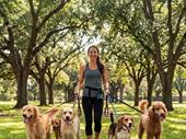 established recurring revenue dog