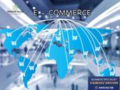 high-growth e-commerce sourcing logistics