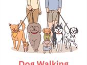 established brisbane dog walking