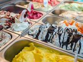established premium frozen yoghurt