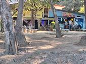 successful beach front restaurant