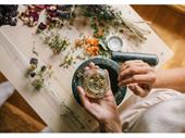 chinese herbs business for