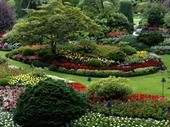property maintenance services