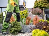 pest control business
