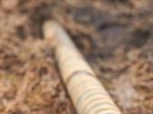 upwards trending utility construction
