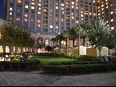 artificial turf sales installation