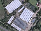 wholesale nursery premises west