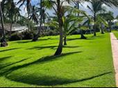 turnkey landscaping outdoor design