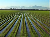 irrigation company family owned