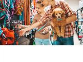 national pet food supplies