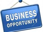 business opportunity one person