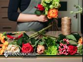 strong earnings-established nyc florist