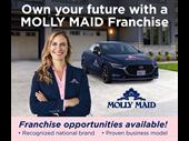 established molly maid cleaning