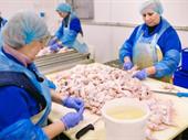 fresh meat processing distribution