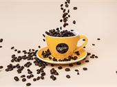 cafe espresso takeaway franchise