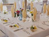 corporate catering business-381kprofit-repeat clients