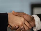 international business consultancy available