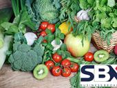 retail fruit market supermarket