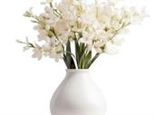 highly profitable florist gift